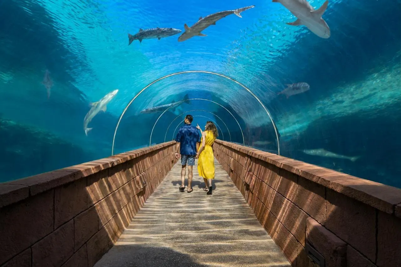 The Coral At Atlantis Hotel Nassau